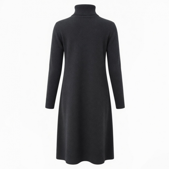 Turtleneck Long Sleeve Casual Winter Women's Dress