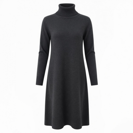 Turtleneck Long Sleeve Casual Winter Women's Dress